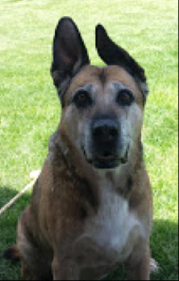 /Images/uploads/Humane Society of Utah/HSUCalendar/entries/668thumb.jpg